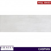 Плитка  для облиц. стен  Caspian grey wall 01 (100*300)