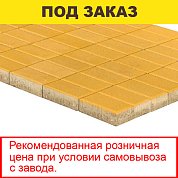 Плитка тротуарная BRAER, "Прямоугольник",  200*100*60мм, желтый (12,96 кв.м) 648шт.