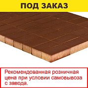 Плитка тротуарная BRAER, "Прямоугольник",&nbsp;&nbsp;200*100*60мм, коричневый (12,96 кв.м) 648шт.