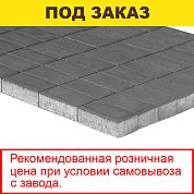 Плитка тротуарная BRAER, "Прямоугольник",&nbsp;&nbsp;200*100*40мм, серый (19,44 кв.м) 972шт.