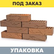  Кирпич керамический лицевой пустотелый Flаsh Мотив 1НФ (250*120*65мм) М175 (coral) (480шт.)