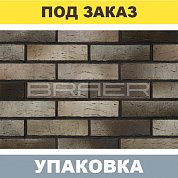 Кирпич BRAER PRO 14.04.1 облицов. (одинарный) М150, г.Тула. BRAER