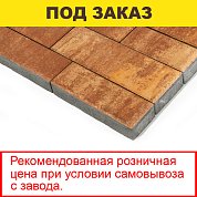 Плитка тротуарная BRAER,"Домино", 640/480*160*60;480/360/280*120*60, Color Mix "Каньон"(11,29 кв.м.)