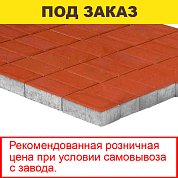 Плитка тротуарная BRAER, "Прямоугольник",  200*100*60мм, красный (12,96 кв.м) 648шт.