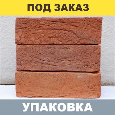 Кирпич RECKE HB WDF 4-00-00-0-00 (красный) М-125