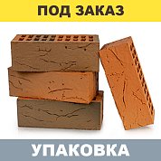  Кирпич керамический лицевой пустотелый Flаsh Аккорд 1,4НФ (250*120*88мм) М175 (coral) (352шт.)