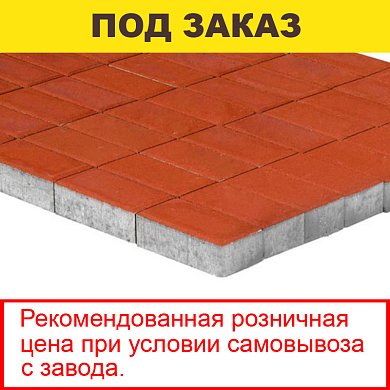 Плитка тротуарная BRAER, "Прямоугольник",&nbsp;&nbsp;200*100*60мм, красный (12,96 кв.м) 648шт.
