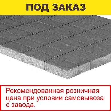 Плитка тротуарная BRAER, "Прямоугольник",&nbsp;&nbsp;200*100*60мм, серый (12,96 кв.м) 648шт.