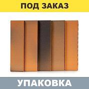  Кирпич керамический лицевой пустотелый Flаsh Аккорд 1НФ (250*120*65мм) М175 (480шт.)