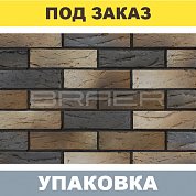 Кирпич BRAER PRO 05.06 лицевой (одинарный) М150, г.Тула. BRAER